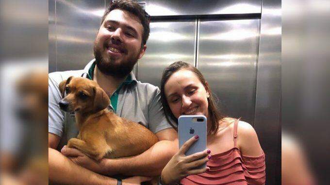 Recomeço: cães e gatos resgatados por ONGs são adotados na pandemia