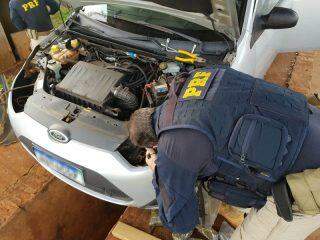 Criativo: Motorista é preso levando tabletes de maconha embaixo do carro na BR-463