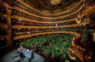 Ópera de Barcelona retoma atividades após a quarentena com concerto para plateia de 2.292 plantas