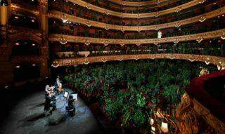Ópera de Barcelona retoma atividades após a quarentena com concerto para plateia de 2.292 plantas