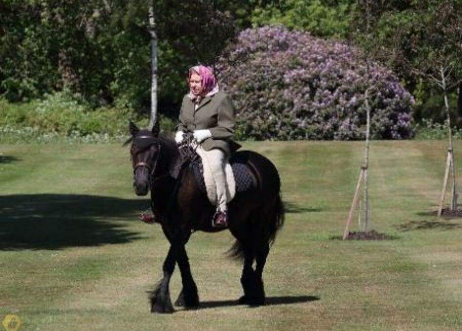 Rainha Elizabeth troca cavalos por pôneis para 'ficar perto do chão'.