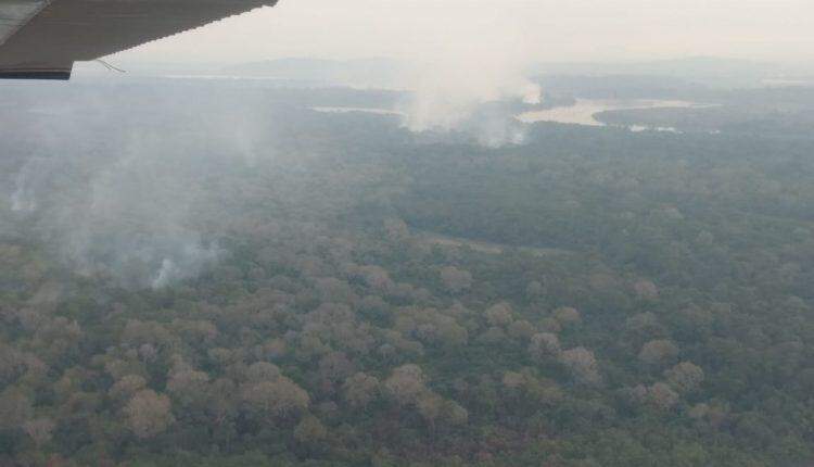 FOTOS: Bombeiros identificam foco de incêndio em margem do Rio Paraguai