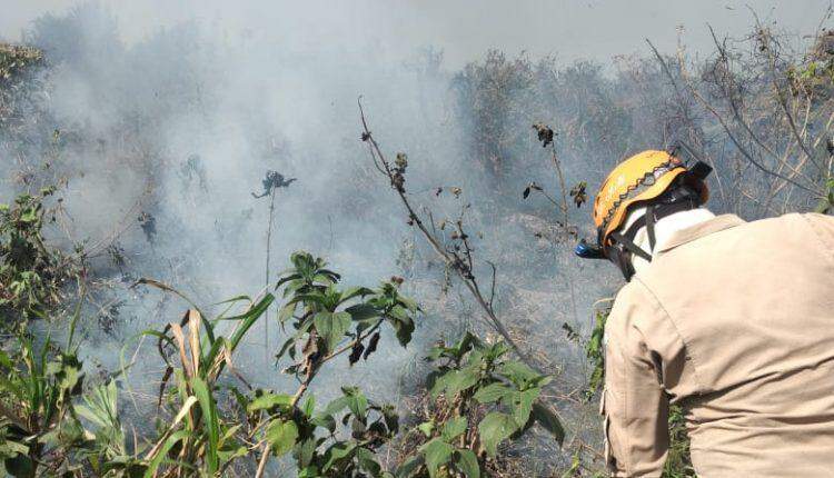 FOTOS: Bombeiros identificam foco de incêndio em margem do Rio Paraguai