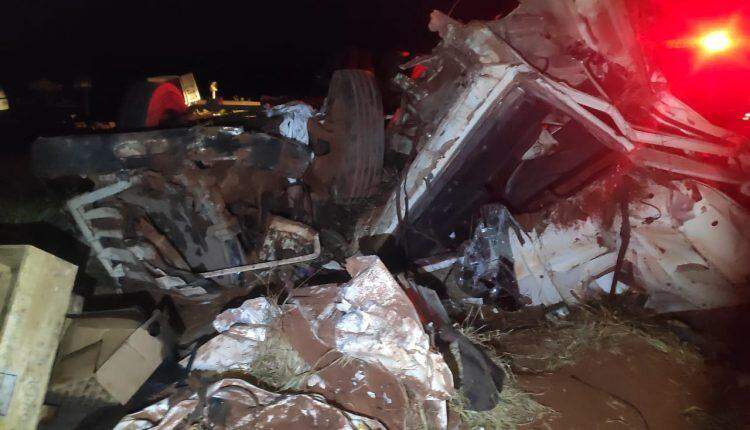 VÍDEO: três da mesma família morrem após carro atropelar anta na MS-040