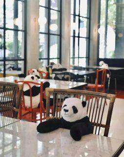 Pandas de pelúcia são usados para manter distanciamento na Tailândia
