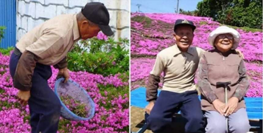 Marido passa 2 anos plantando flores para que esposa cega sinta o cheiro