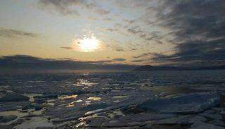 Última plataforma de gelo intacta do Ártico canadense entra em colapso