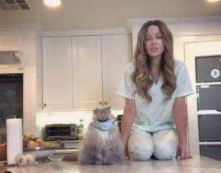 Kate Beckinsale diverte fãs com presente que deu ao seu gato de estimação