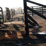 Destruição e desespero: incêndio devasta sítios e queima mais de 200 hectares em Paranaíba