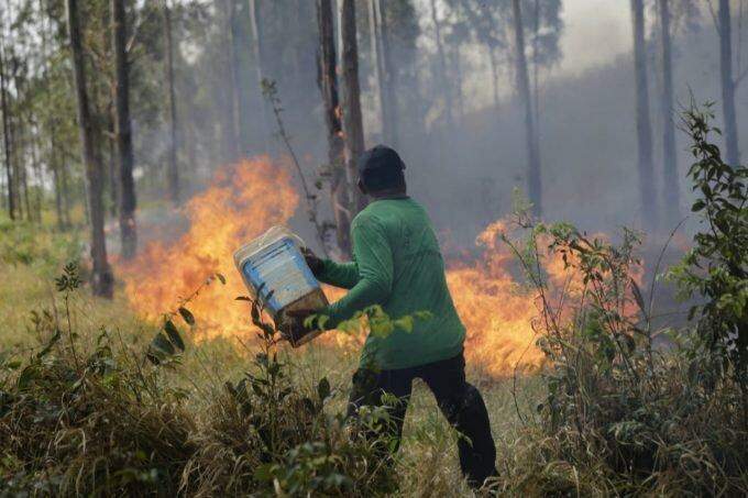 'Fiquei sem ação': Incêndio no Noroeste destrói parte de barraco de moradora