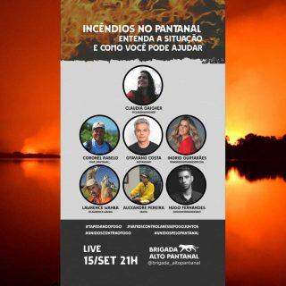 Live com Ingrid Guimarães, Otaviano Costa e especialistas, busca recursos para combate no Pantanal