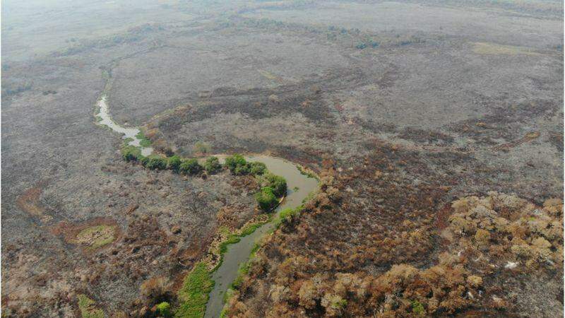 Provas indicam que fazendeiros provocaram queimadas no Pantanal de MS, aponta PF - Jornal Midiamax