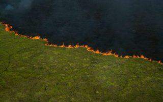 O Pantanal arde em chamas.