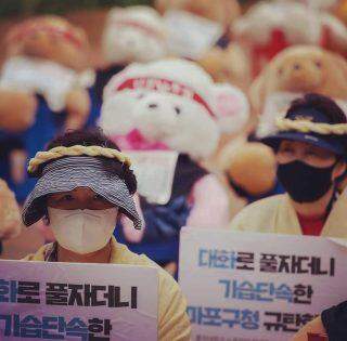 Um protesto de ursinhos de pelúcia dos vendedores ambulantes em Seul