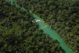 O Pantanal arde em chamas.