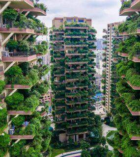 Plantas 'invadem' prédios na China e forçam a saída de moradores dos imóveis.