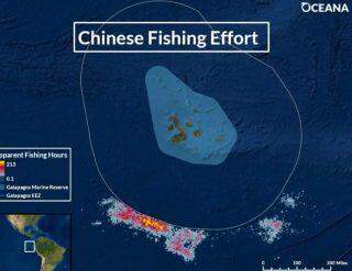 Navios chineses saqueiam águas ao redor de Galápagos