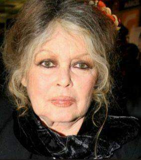 Um brinde aos 86 anos de Brigitte Bardot, a grande musa do cinema