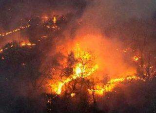 O Pantanal arde em chamas.