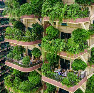 Plantas 'invadem' prédios na China e forçam a saída de moradores dos imóveis.