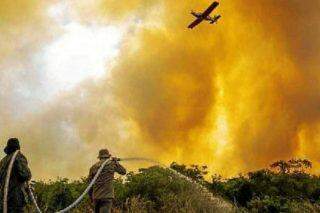 O Pantanal arde em chamas.