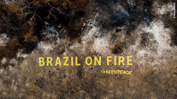 Greenpeace divulga foto de estátua de Bolsonaro e aponta irresponsabilidade com queimadas no Pantanal