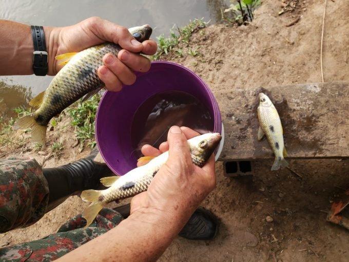 PMA autua três pessoas em R$ 2,7 mil por pesca ilegal e apreende materiais