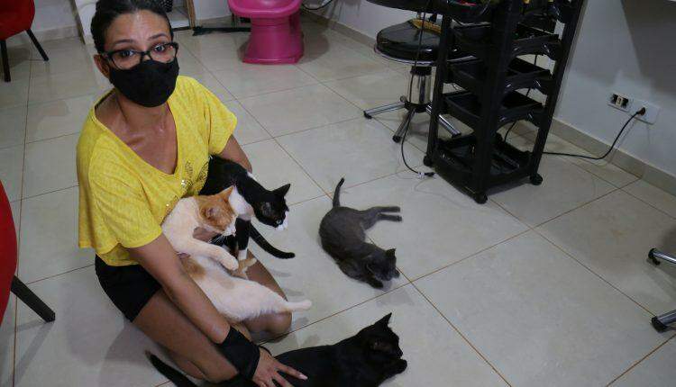 Cansada de ver animais na rua, Graziela alugou casa e abriga 54 gatos e 16 cachorros em Campo Grande