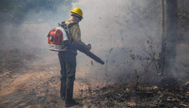 Em esforço sobre-humano, brigadistas colocam vida em risco para salvar Pantanal do fogo