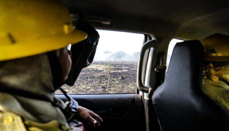 Em esforço sobre-humano, brigadistas colocam vida em risco para salvar Pantanal do fogo