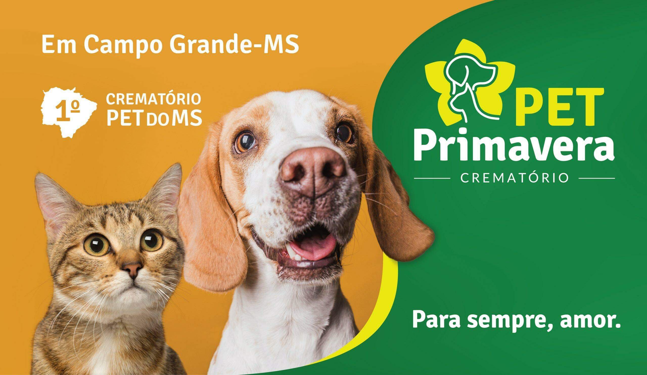 Campo Grande passa a contar com serviço de cremação Pet