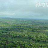 Aos poucos, verde e 'vida' no Pantanal retornam com chegada de chuvas