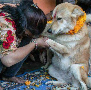 Como Diwali foi celebrado em todo o mundo durante a Covid-19