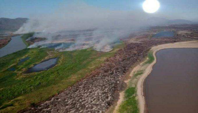 incêndios Pantanal
