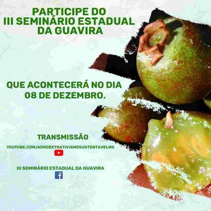 3º Seminário da Guavira terá participação de 16 estados brasileiros