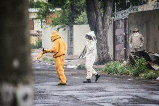 Família é atacada por enxame de abelhas no Guanandi e três são socorridos