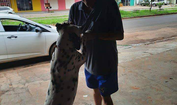 Final feliz: Após um ano desaparecido, cão Abu é reencontrado por familiares