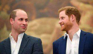 Príncipes Harry e William estão a caminho da reconciliação após uma rivalidade "muito real, muito feia"