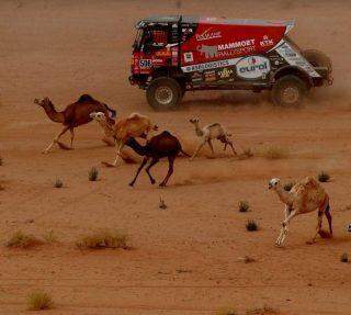 O Paris Dakar está em andamento na Árabia Saudita.