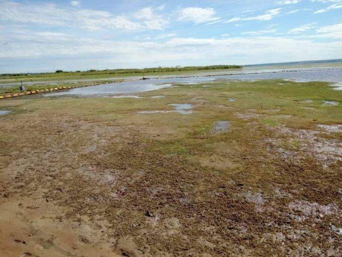 Administração de Três Lagoas solicita esclarecimentos à CTG por possível dano ambiental ao rio Sucuriú