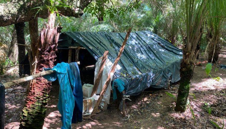 Adolescentes, indígenas e paraguaios são resgatados de condições análogas à escravidão em MS