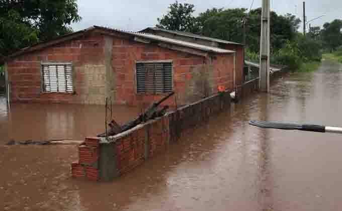 VÍDEO: chuva faz rio transbordar e água cobre casas, carros e leva vaca em cidade de MS
