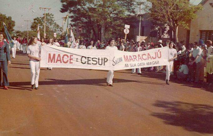 Professores lançam livro em comemoração aos 50 anos da Mace em evento online