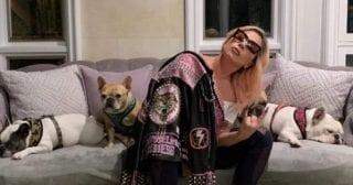 Lady Gaga oferece R,7 milhões por seus dois cães que foram roubados durante passeio com dog walker