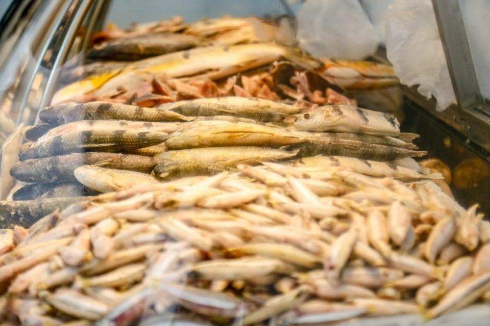 Fim de mês e pandemia derrubam Semana Santa nas peixarias de Campo Grande