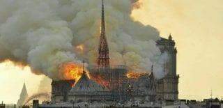 Cinquenta e nove carvalhos centenários foram abatidos para Notre-Dame