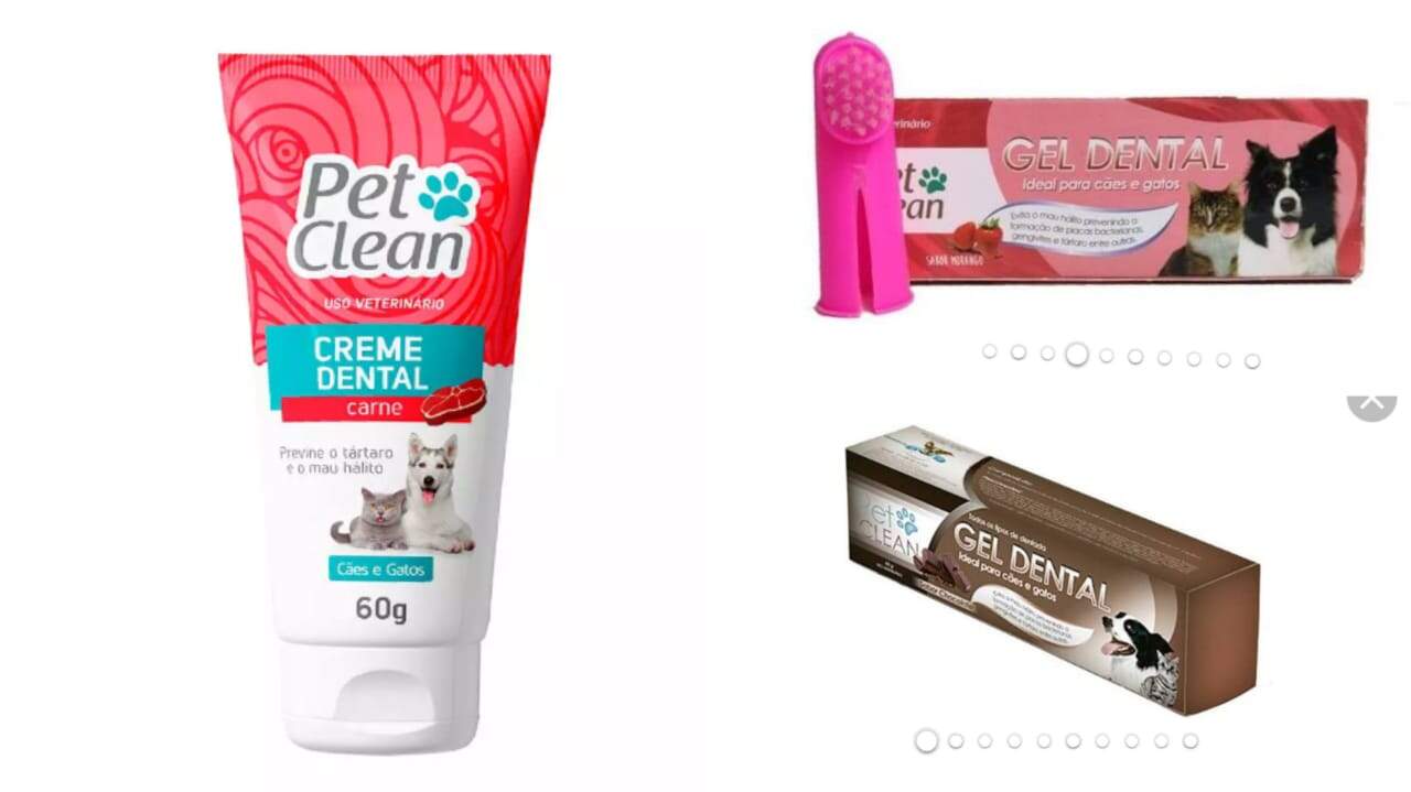 produtos escovacao animal - Cachorro precisa escovar os dentes? Limpeza garante bem-estar e evita problemas futuros