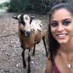 Vídeo flagra momento que garota leva ‘cabeçada’ de bode ao tentar tirar selfie