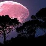 Olhe para o céu:  fenômeno da Lua Rosa acontece na noite desta segunda
