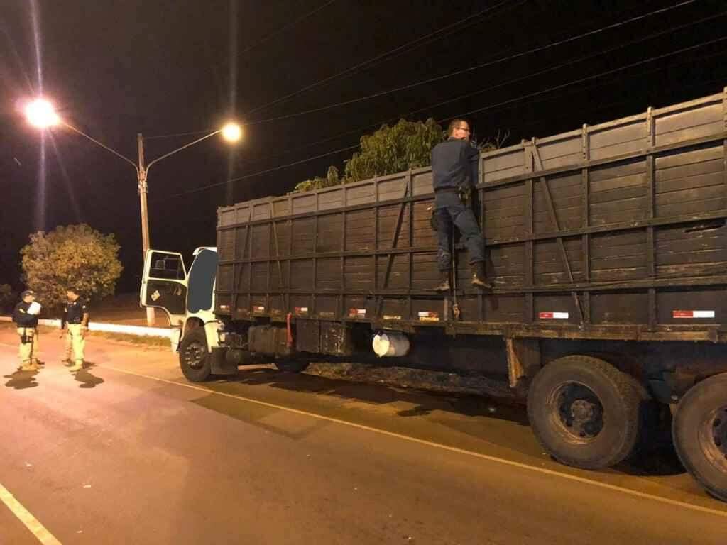 Polícia apreende caminhão com 22 cabeças de gado transportadas ilegalmente